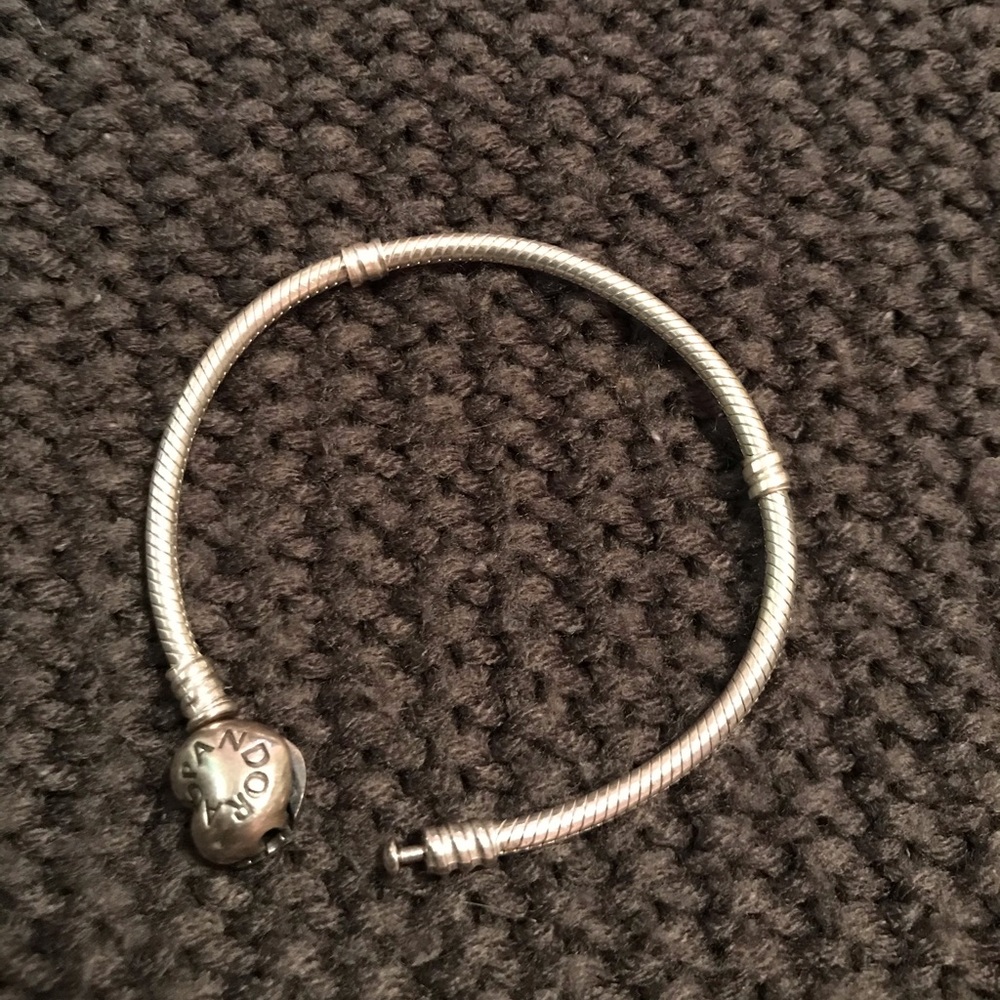 Pandora charm bracelet